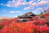 KIYOMIZU-DERA TEMPLE Image