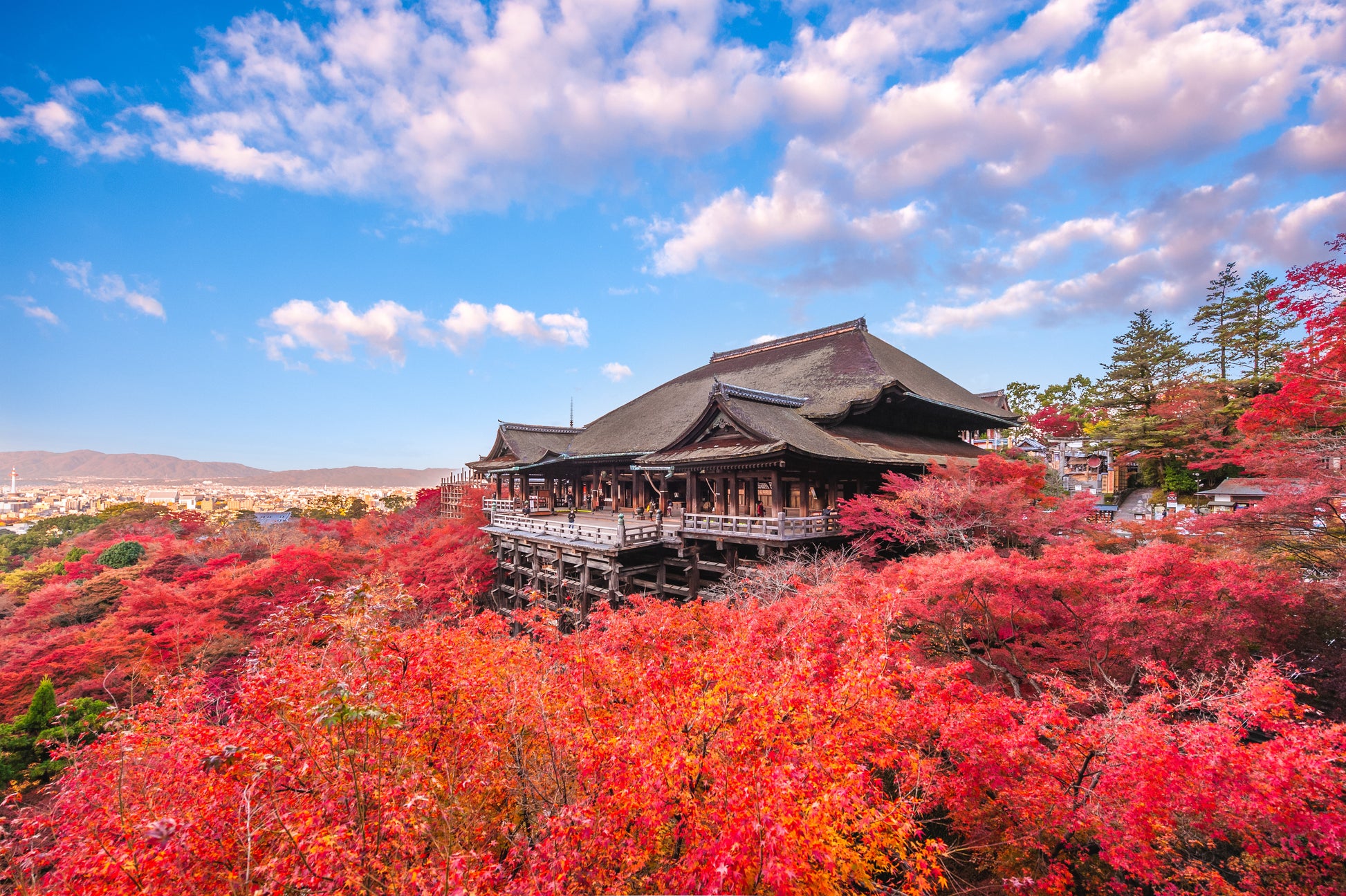 KIYOMIZU-DERA TEMPLE Image