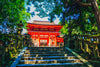 Kasuga Taisha Image