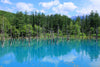 Blue Pond