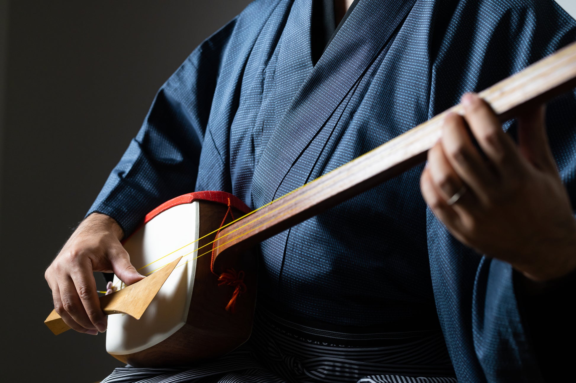 Shamisen Experience Image