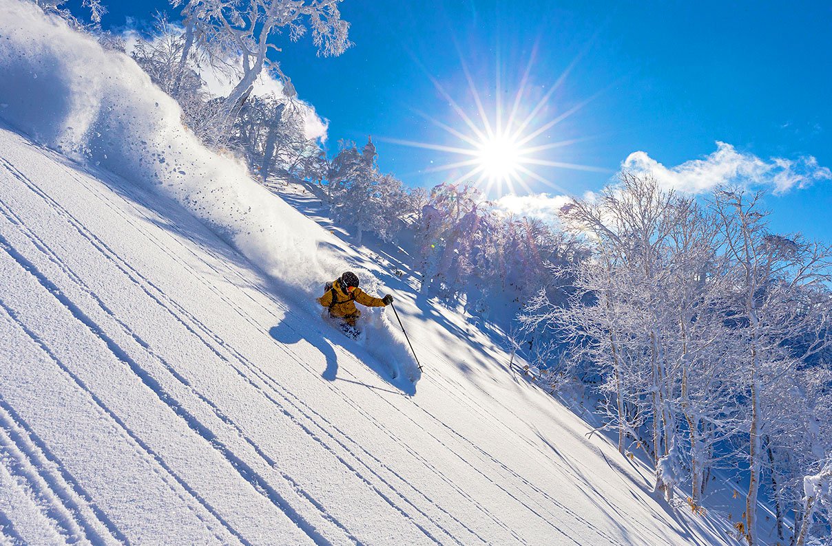 Winter - Deep Dive Powder Snow in Hokkaido 10 Days by Air Canada