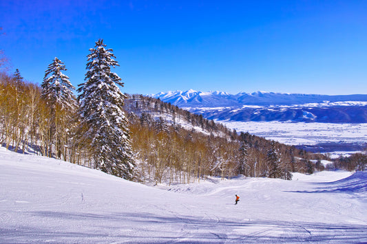 Furano image